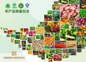 青海省铭爵大宗商品交易中心运营中心强化农产品质量安全监管，助力农业高质量发展