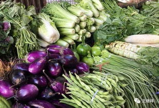 王继祥 农产品冷链物流绝不能一冷了之，应借鉴生活日用品模式