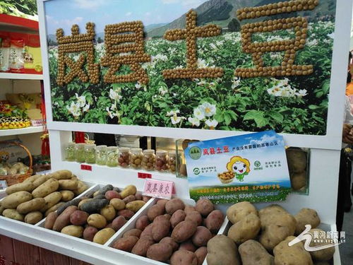 山西特产香飘京城 千余种农产品与生活用品展现三晋风情