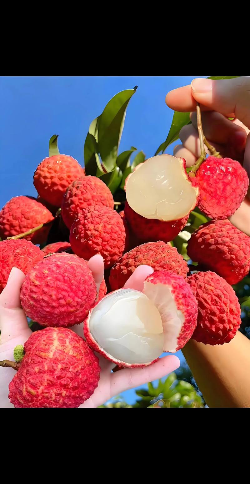 新鲜应季泰国一级榴莲到货，品质生活从优质农产品与日用品开始