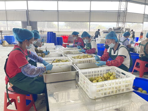武平文明网携手中国文明网 以生活日用品传递文明新风