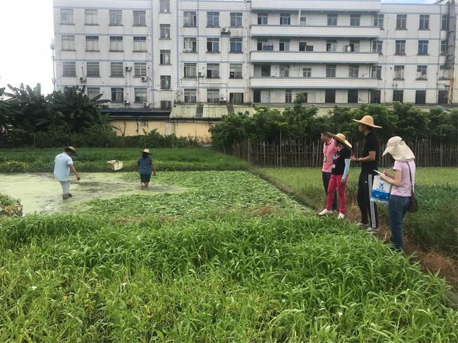 石门街专职农产品质量安全员一周工作简报（2018年9月10日）