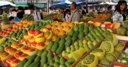 桐城大地农产品批发市场 一座城市，一个农批，引领农产品流通新篇章