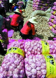 绿豆价格暴涨的幕后黑手 发改委录音揭示生活日用品市场隐忧