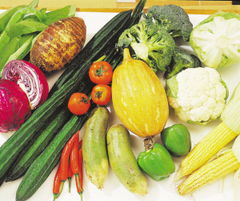 深圳构筑“从基地到餐桌”的农产品质量安全体系